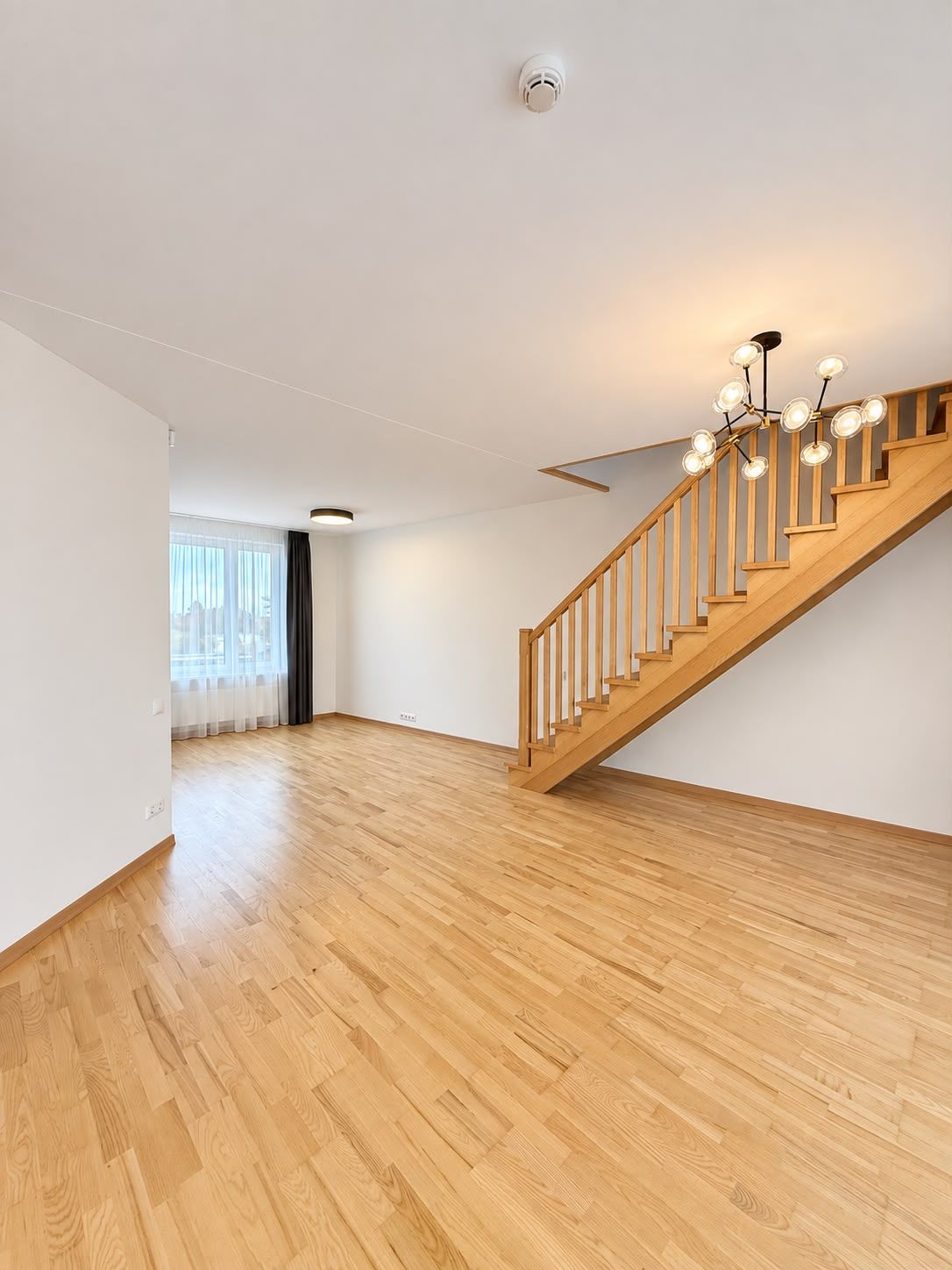 Premium Penthouse — photo 4